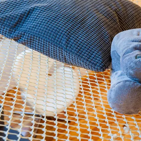 Lägenhet Loft Lx Factory